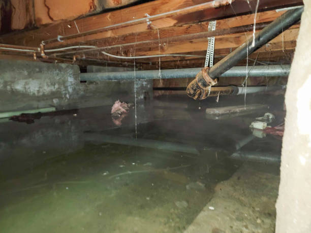 Best Residential water damage restoration  in Crestwood, KY