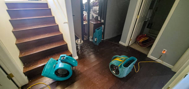 Best Flood damage cleanup  in Crestwood, KY