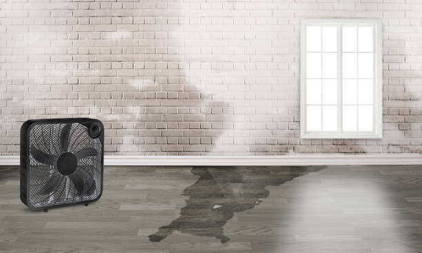 Best Water damage restoration near me  in Crestwood, KY